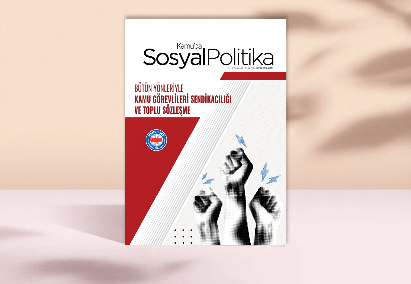 Kamuda Sosyal Politika 49